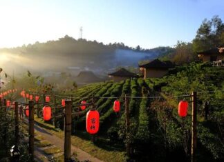 แนะนำสถานที่เที่ยวแบบ Slow Travel ในเชียงใหม่ที่ต้องไปสักครั้ง เที่ยวแบบ Slow Travel ในเชียงใหม่